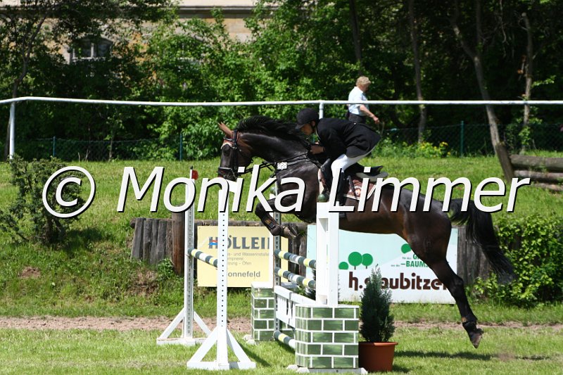 005M5276_My fair Lady_L Springen.JPG